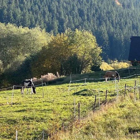 Ps5, Vr2, Logitech Racing-apartman Pod Chocom