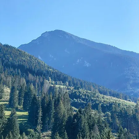 Ps5, Vr2, Logitech Racing-apartman Pod Chocom アパート