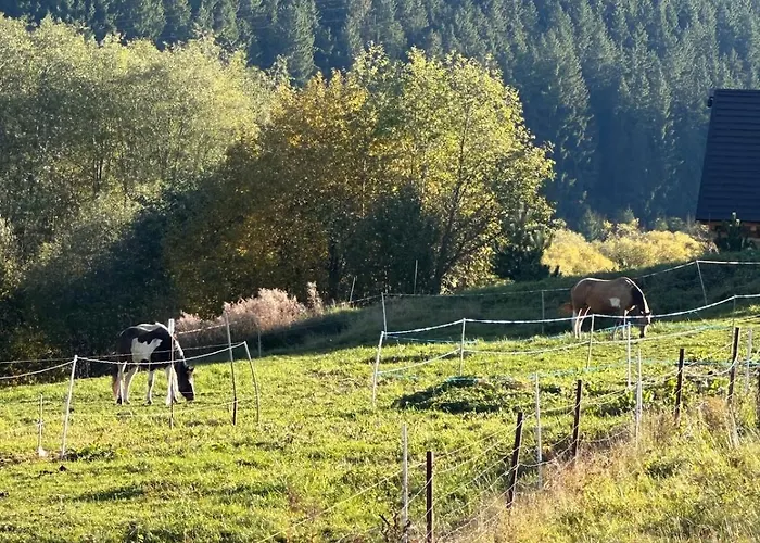 Ps5, Vr2, Logitech Racing-apartman Pod Chocom