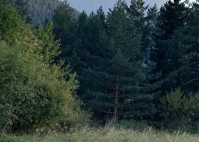 Ps5, Vr2, Logitech Racing-apartman Pod Chocom Apartment Lestiny